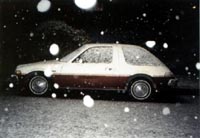 Bobbie & Chris' Pacer in the snow