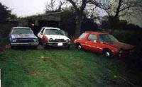 Colin Hadden's two Pacers and Gremlin