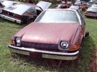 1977 D/L Sedan in Junket Heaven