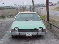 Texas Seaspray Green Pacer